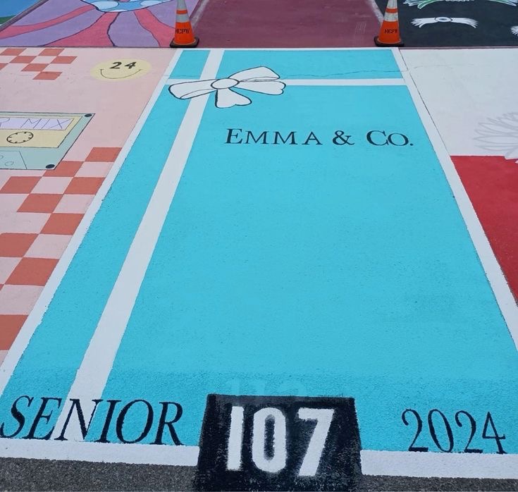 25 Insanely Cute and Creative Senior Parking Spaces